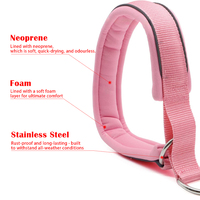 Collier de chien en nylon réfléchissant avec doublure en néoprène ajustable et rembourré pour la marche et l'entraînement.