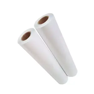 Hot sale hot peel heat transfer Dtf printing film 60cm 30cm 33 cm A3 pet roll for T shirt Printer