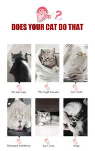 กระเป๋าใส่สัตว์เลี้ยงขนาดเล็กแบบยืดขยายได้, กระเป๋าใส่สัตว์เลี้ยงขนาดเล็กทนทานแบบยั่งยืนได้รับการอนุมัติจากสายการบิน - Product Image 2