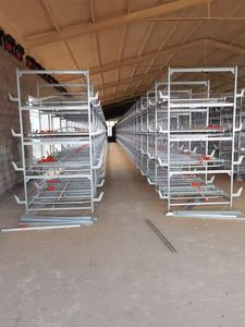 ระบบกรงเลี้ยงไก่แบบซ้อน H-Type รุ่นใหม่ของชิงเต่า พร้อมสายพานลำเลียงมูล ระบบให้อาหารและน้ำอัตโนมัติ สำหรับไก่ไข่ ยี่ห้อ Hengqi ชุบสังกะสี - Product Image 2
