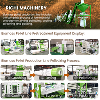 RICHI Máquina de Fabricación de Pellets de Madera Línea Personalizada 5-7t/h Biomasa Olivo Eucalipto Swdust Línea de Molino de Pellets de Madera PARA LA Venta
