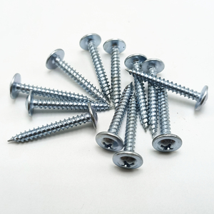 Giàn Đầu Plilips Ổ Đĩa Tự Khai Thác Vít Chất Lượng Cao Bán Buôn Tùy Chỉnh Trắng Màu Xanh Mạ OEM Bề Mặt Kết Thúc Phẳng Vít - Product Image 6