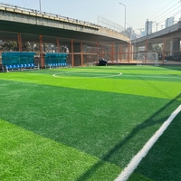 Césped Deportivo Premium APEX al por Mayor, Compatible con OEM, Múltiples Opciones de Color, Césped Artificial para Canchas de Tenis, Uso Interior y Exterior