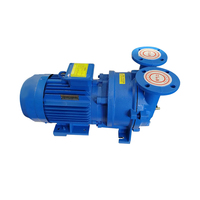 Pompe à vide et compresseur à anneau liquide série 2BV, haute efficacité, sans huile, pompe industrielle à anneau d'eau, fonctionnement continu 24h/24
