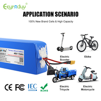 Paquete de Baterías de Iones de Litio NCM Personalizado OEM, 24V-48V 18650 21700 10Ah-100Ah BMS CE UN38.3 para Equipos de Marcado Láser Industriales Móviles