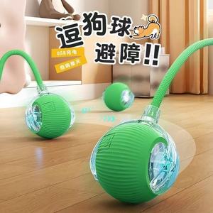 Jouet pour chat Dini Cat Ball 65g, rechargeable par USB, à roulement automatique, interactif pour chats et chiens - Product Image 1