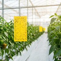 Kleefpapierrol voor vliegende insecten, niet-toxisch, voorgevild, wegwerpbaar, ongediertebestrijding, groothandel