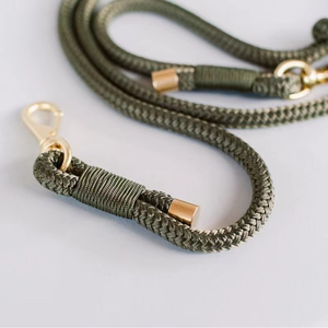 गर्म बिक्री प्यारा कुत्ता पट्टा क्लासिक ठोस पहाड़ चढ़ाई टिकाऊ गोल रस्सी कुत्ते के साथ पालतू पट्टा - Product Image 3