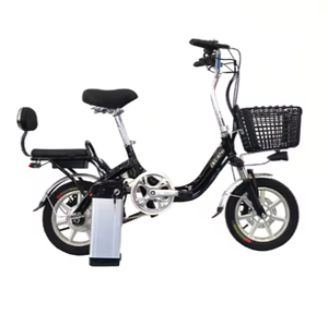 Batería de Plomo-Ácido de Alta Capacidad de 48V y 20 Pulgadas, Económica y Potente, Motor sin Escobillas de 1000W, Alta Velocidad Electrónica, Largo Alcance - Product Image 3