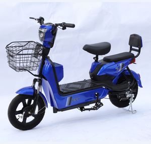 Grossiste 1000 Watt Moteur 1000 W Ebike <span class=keywords><strong>Fat</strong></span> Tire Kits <span class=keywords><strong>Easy</strong></span> Fit By Cd 70 Vélo électrique - Product Image 5