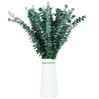 Tiges d'eucalyptus séchées conservées Paquet de douche Fleurs naturelles préservées Feuilles vertes rondes pour bébé Eucalyptus pour la douche Décoration intérieure