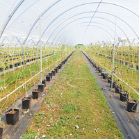 Estructura Práctica de Túnel de Polietileno con Tubos Galvanizados para Cultivo de Arándanos y Frambuesas, Protección contra la Lluvia para Cultivos Agrícolas