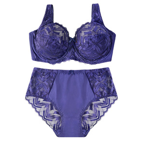 BEIZHI nuovo Design <span class=keywords><strong>con</strong></span> <span class=keywords><strong>ferretto</strong></span> Plus Size set di reggiseni e mutandine da donna trasparenti in pizzo Sexy di lusso - Product Image 1