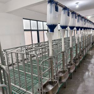 <span class=keywords><strong>Lit</strong></span> d'accouchement pour porcs à conception sécurisée et efficace, cage <span class=keywords><strong>de</strong></span> maternité pour porcelets, installation pour élevage porcin destinée à <span class=keywords><strong>la</strong></span> modernisation <span class=keywords><strong>des</strong></span> exploitations - Product Image 2