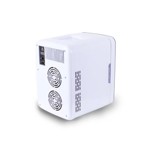 Mini réfrigérateur portable 10l, 12V DC, pour voiture, refroidisseur électrique, vente en gros - Product Image 5