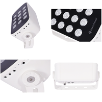 Projecteur LED extérieur IP65 RGBW 30W 48W AC220V/DC24V/DC48V, large plage de température de fonctionnement