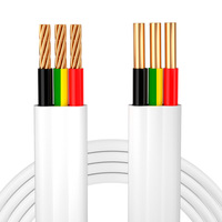 Australischer Standard Massiver Flachdraht 3-adrig 1,0mm+1,0mm PVC-Isolierung E/2,5/4/6/10 Weiß für Gebäude-Stromversorgung