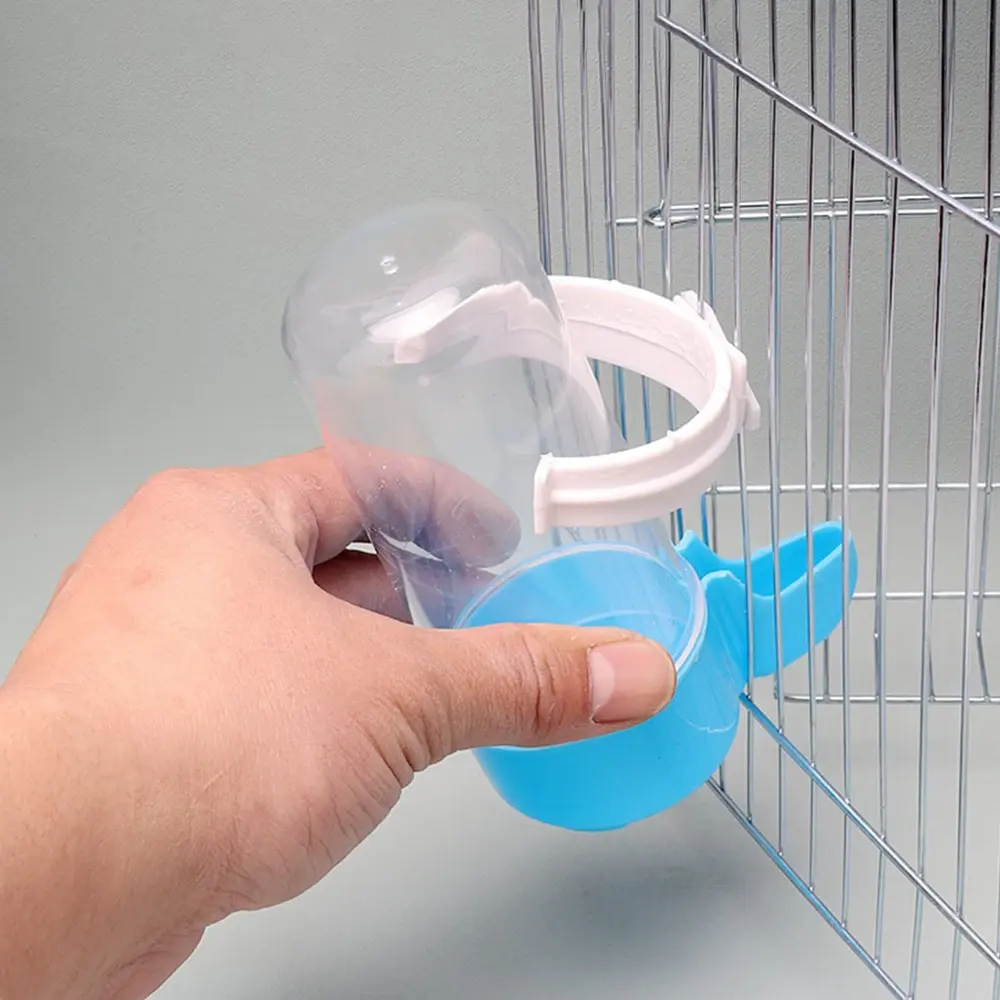 canary water feeder