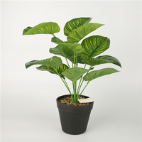 Pot en plastique blanc miniature de haute qualité, écologique, pour la décoration de plantes d'extérieur, couleur personnalisable, jardinières pour Maranta