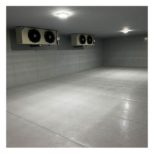 Chambre froide de qualité industrielle avec équipement de refroidissement avancé pour les installations de stockage à grande échelle de viande, de volaille et de glace - Product Image 6