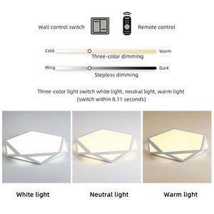 מנורת תקרה <span class=keywords><strong>LED</strong></span> מודרנית אירופאית סִגְנוֹן ברזל דקה במיוחד לסלון חדר שינה ביתי עם עיצוב גיאומטרי יצירתי - Product Image 3