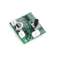 Mini amplificateur audio mono haute puissance, module amplificateur numérique Hi-Fi 60W, compatible 12V/24V