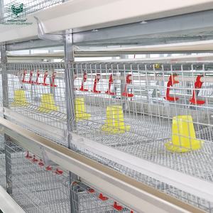Equipo de cría de aves de corral duradero galvanizado en caliente tipo H nuevo automático batería de pollos de engorde jaula cinturón de limpieza de estiércol <span class=keywords><strong>para</strong></span> - Product Image 1