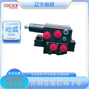 วาล์วไฮดรอลิกแบบหลายทิศทาง Hawe Sl 2 A 2 L 6 6 Ea 1 2 G 24  วาล์วควบคุมเซอร์โวสแตนเลส - Product Image 1