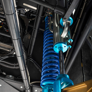 Maßgefertigter Baja 1000 Truck 4WD Offroad-Rennfahrzeug ATV UTV Strandbuggy - Product Image 4