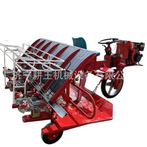 Transplanteur de riz 6 rangs, diesel, haute vitesse, facile à utiliser, pour la plantation du riz, matériel agricole - Product Image 5