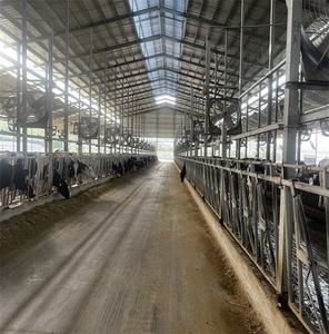 亜鉛メッキされたジャージー牛のヘッドロック牛の世話のための経済的に価格設定された動物の飼育機器 - Product Image 2