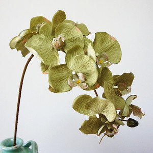 2021 Offre Spéciale fleurs d'orchidées en soie artificielle fausses orchidées pour mariage noël retour à l'école et centres <span class=keywords><strong>de</strong></span> <span class=keywords><strong>table</strong></span> du <span class=keywords><strong>nouvel</strong></span> <span class=keywords><strong>an</strong></span> chinois - Product Image 3