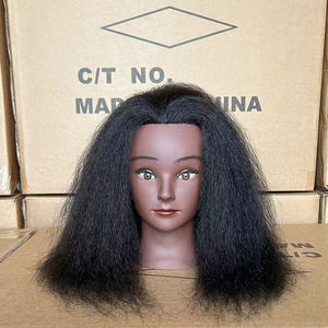 Tête de Mannequin en Cheveux Naturels pour Coiffeur, Mannequin d'Entraînement Américain/Africain, Tête de Poupée Cosmétologique pour Salon de Coiffure Féminin - Product Image 1