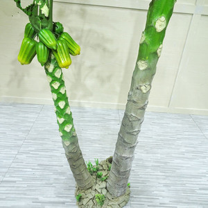 Plantes artificielles <span class=keywords><strong>de</strong></span> bureau, 1 pièce, matériau PE vert, décoration en plastique, <span class=keywords><strong>arbre</strong></span> à <span class=keywords><strong>papaye</strong></span> - Product Image 4