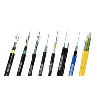 Câble à fibre optique monomode extérieur FTTH 1, 2, 4 cœurs GYFXTY GYTC8A ADSS ASU GYTA GYTS GYFXTBY pour la fourniture de projets personnalisés