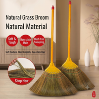 Balai artisanal en plantes naturelles pour intérieur et extérieur, idéal pour la cour, le garage, la pelouse, le sol, avec manche, pour balayer les routes