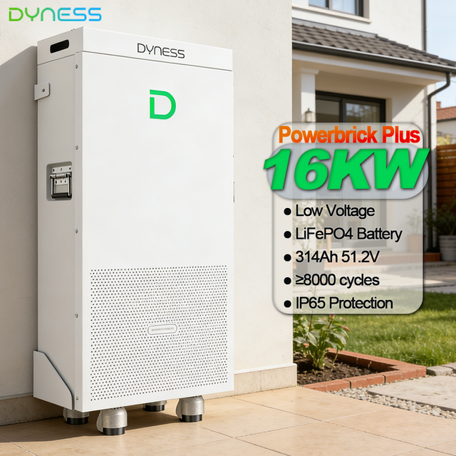 Dyness PowerBrick Plus 51.2V 16.07kwh 314ah Wall Mount IP65 LiFePO4 Battery for Sale