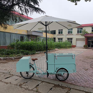 Triciclo de helados con congelador de 120L más barato/bicicleta holandesa/Fabricante de <span class=keywords><strong>tribike</strong></span> a la venta - Product Image 2