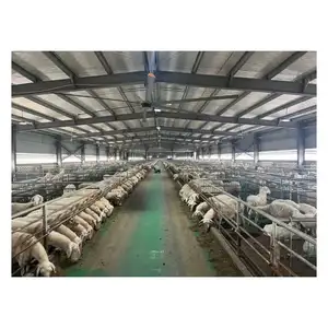 Structure en acier préfabriqué hangar pour vaches poulailler poulailler pour moutons fabricant de bâtiments de ferme à faible coût installer facilement des bâtiments en acier