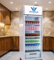 Réfrigérateur vertical commercial à porte vitrée unique, refroidissement par ventilateur, avec fonction de dégivrage chauffant
