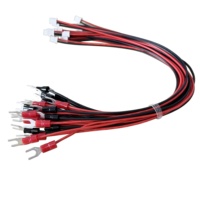 Kustom JST VH 3.96Mm 2 Pin Ke Garpu Kawat Teminal dengan Kabel AWG18