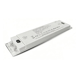 <b>LED</b> <b>Driver</b> <b>24V</b> 2A IP44 SELV Wall Mount for Bathroom Makeup Mirror with Overvoltage Overcurrent Protection - Product Image 1