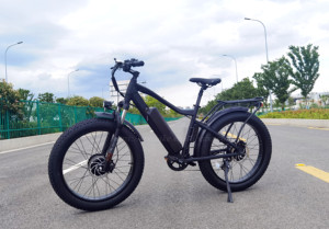 Bicicleta Eléctrica de Doble Motor 48V 250W, Bicicleta de <span class=keywords><strong>Montaña</strong></span> con Llantas Gruesas de 26 Pulgadas, Bicicleta Eléctrica para Adultos - Product Image 3