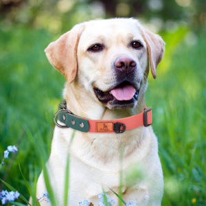 Gran oferta de correas y collares de perro de cuero Pu con logotipo personalizado, conjunto de <span class=keywords><strong>collar</strong></span> y correa para perros pequeños de Pvc suave para mascotas - Product Image 6