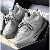 Nouvelles Chaussures de Sport Tendance 2026 : Chaussures de Randonnée Rehaussantes à Lacets avec Doublure en Maille pour la Course