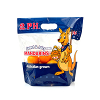 Herbruikbare vierkante zak met ritssluiting en gestanste handgreep voor verse mandarijnen, geschikt voor supermarkten.