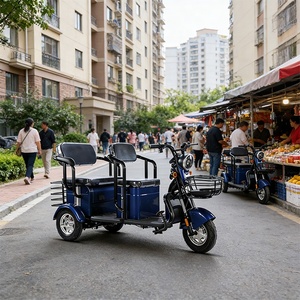 Tricycle électrique de transport 48V 60V 72V à 3 roues pour personnes âgées - Product Image 6
