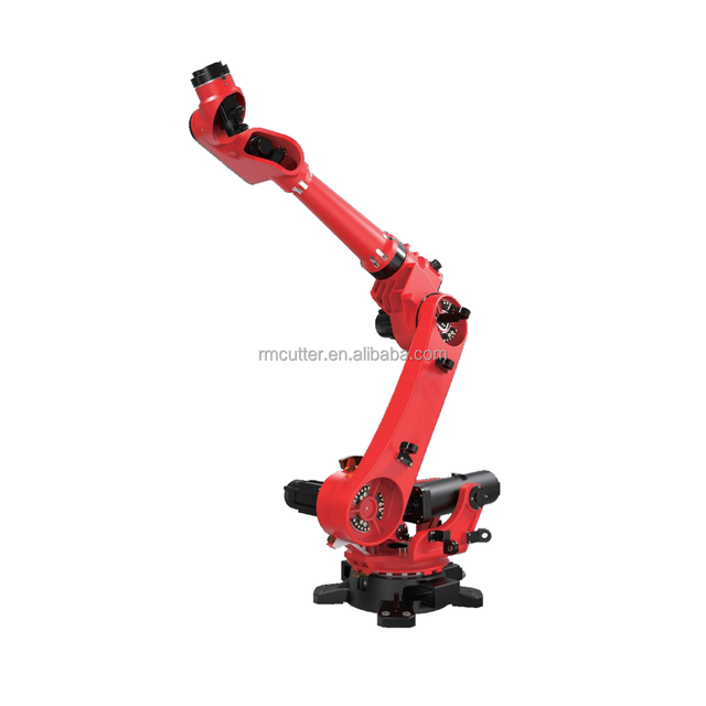 Rayman Collaborative 6 Axis Industrial General Laser Welding Robot Arm Handling Pick and Place Arm on Sale