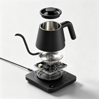Bouilloire électrique 1,0 litre 1200W, chauffe rapide, base tactile, affichage de la température en temps réel, maintien au chaud 30 min, acier inoxydable