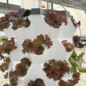 Sistema Idroponico Completo Skyplant per Giardino Domestico, Kit Torre di Coltivazione Verticale, <span class=keywords><strong>Automazione</strong></span> Domestica Intelligente per Irrigazione Interna - Product Image 4